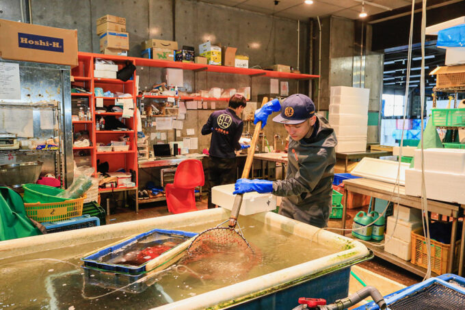 小西鮮魚店（マルショウ小西鮮魚店）