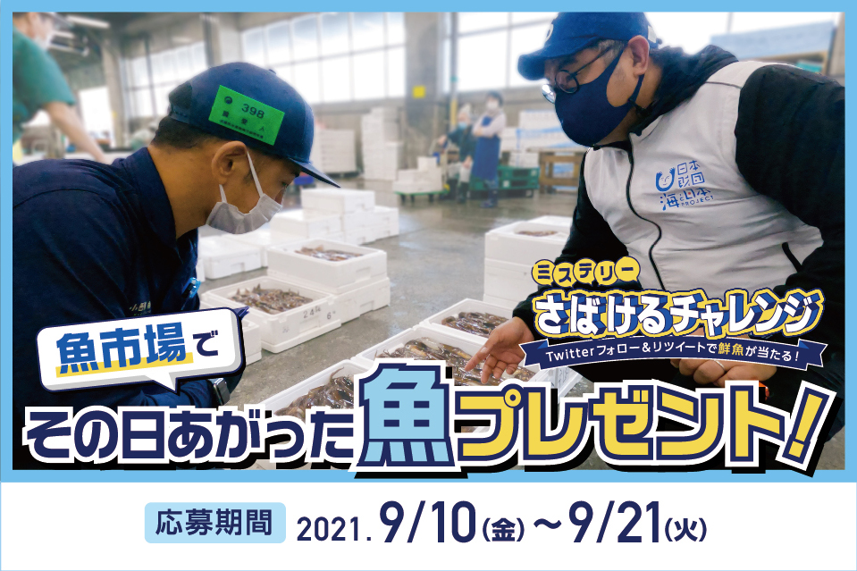 函館直送の鮮魚が当たるSNSキャンペーン（9/21まで）