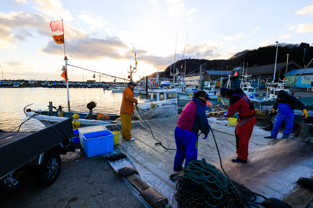 一隻に入れる刺し網は500mの長さ。船が港に戻ると、すぐに刺し網を巻き直して、翌日の漁に備えます。