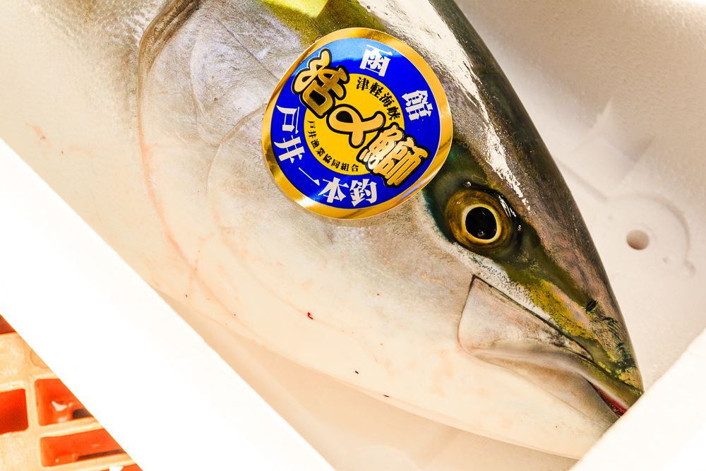 戸井漁業協同組合（函館市）では、品質が良好な7kgを超えるものには、「函館戸井一本釣 活〆鰤」のブランド表示のシールが貼られます。