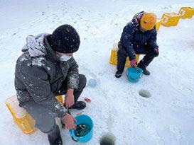 氷上（天然）わかさぎ釣り体験（＊12月は桟橋にて）