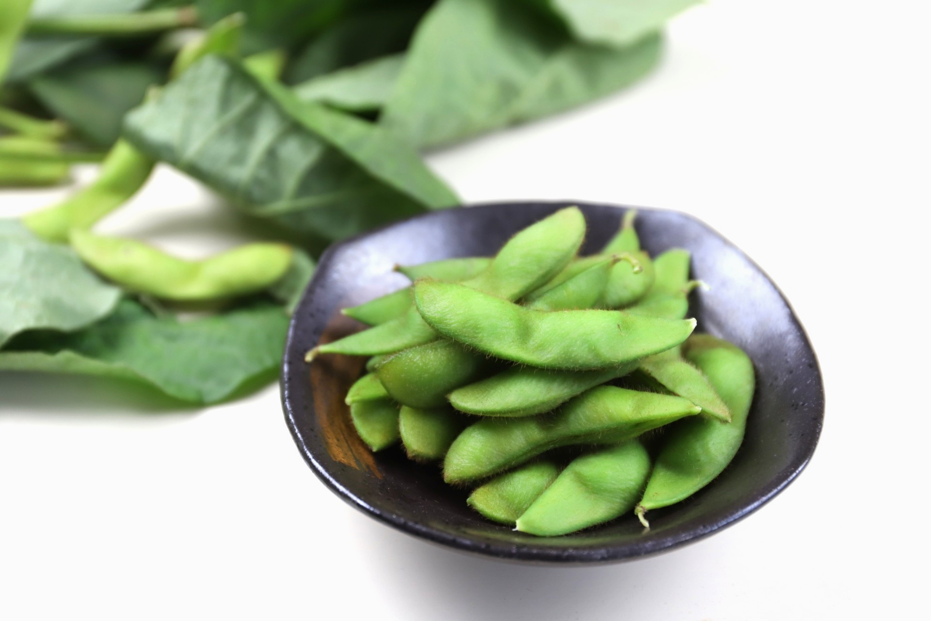 粒が大きいと、実が四角く浮き出るのが特徴。